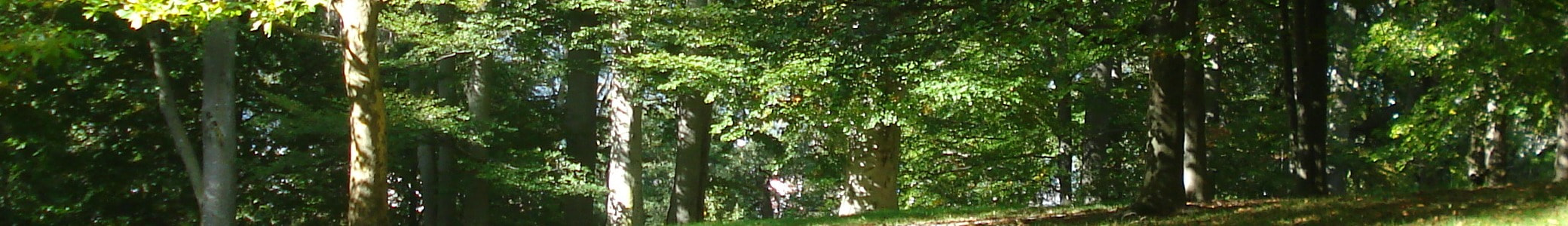 Od Ciebie zależy przyszłość